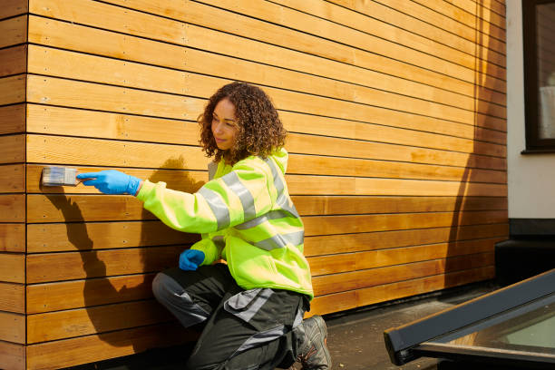Best Vinyl Siding Installation  in Mills, WY